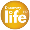 Discovery Life