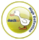 Duck TV